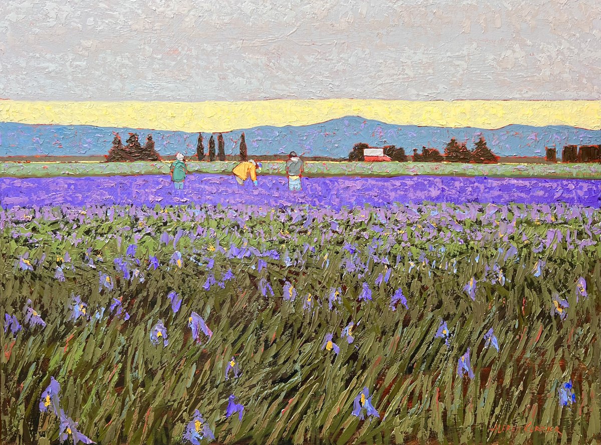 Blue Dutch Iris, 30 x 40 oil, $6500 SOLD