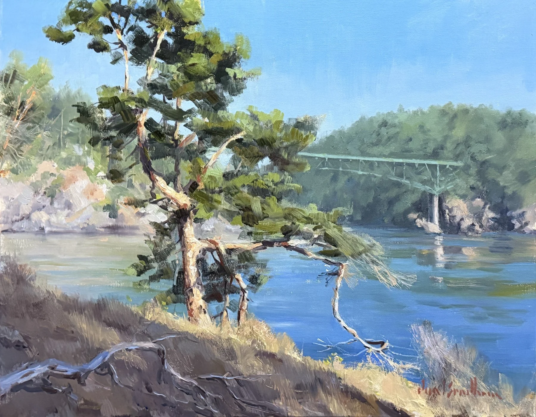 Local Beauty, 14x18 oil, $800