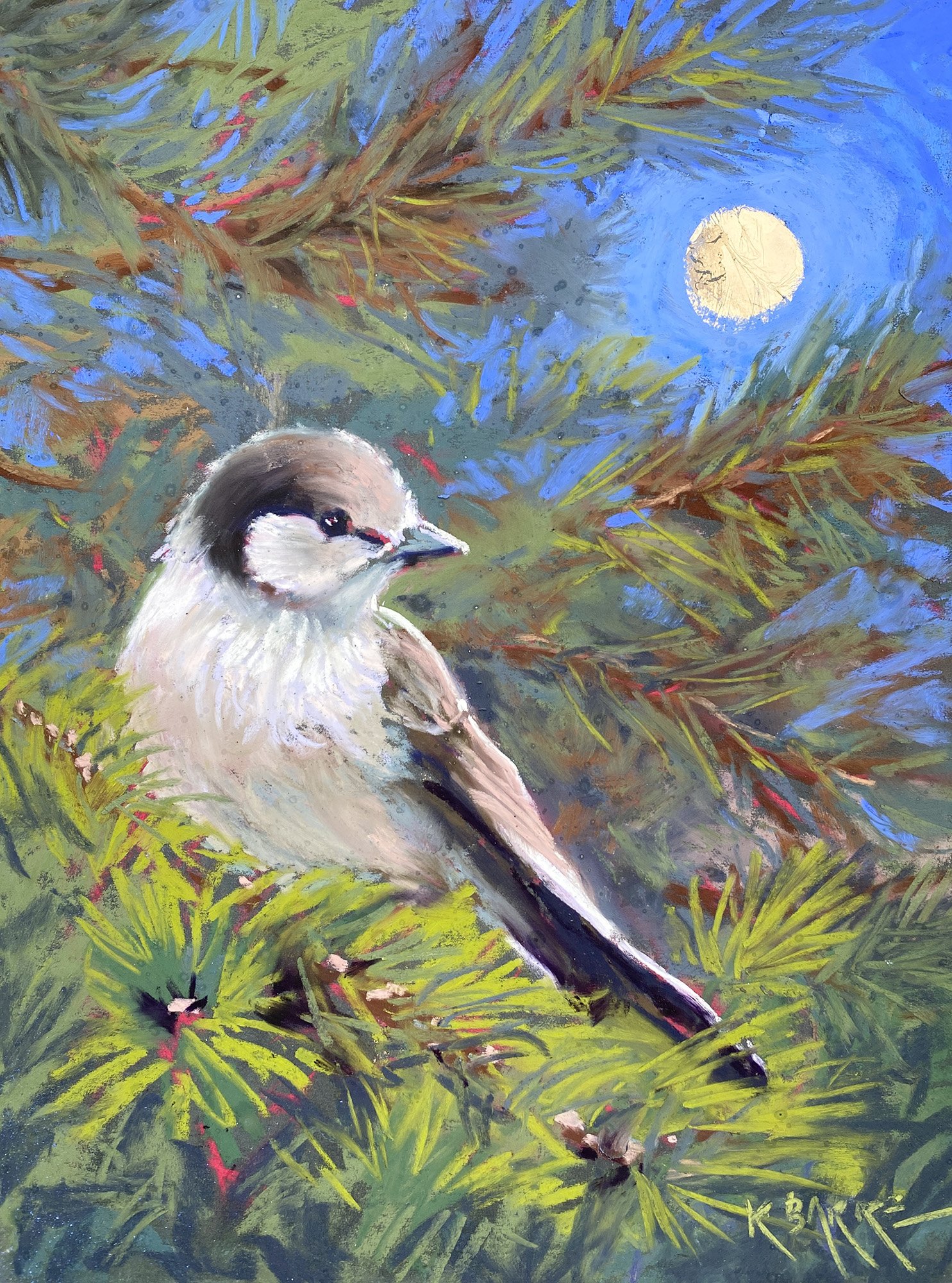 Camp Robber, 12x9 soft pastel, $400