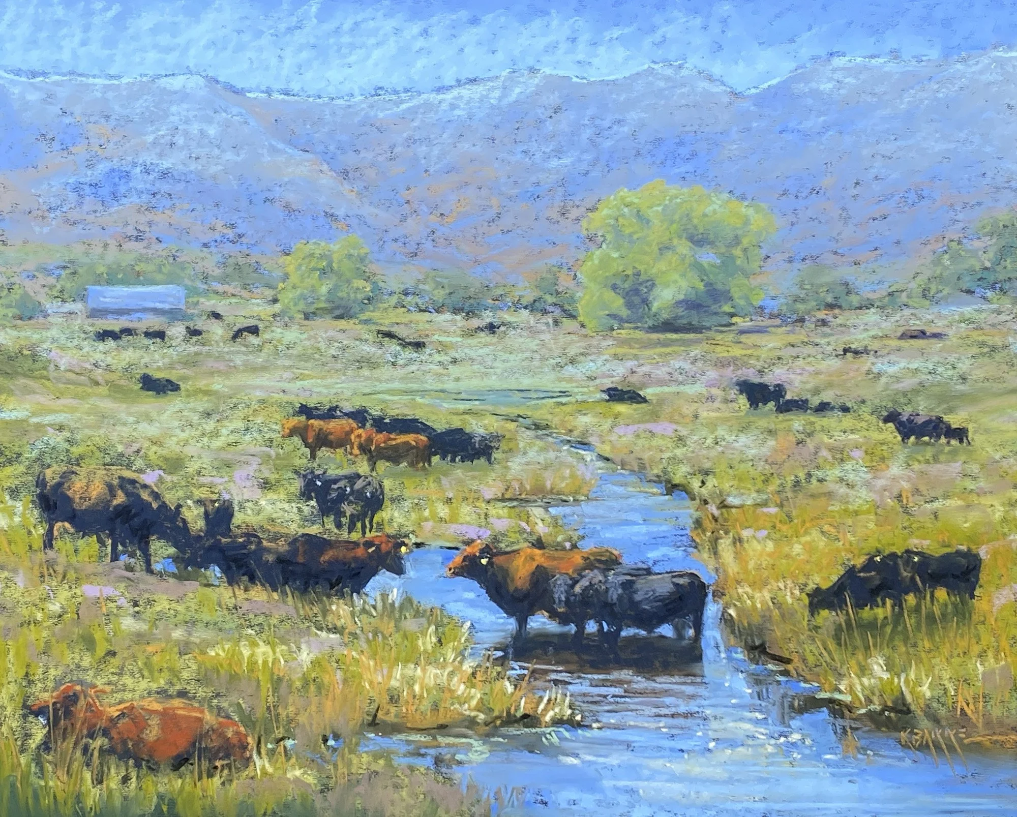 Refreshing, 16x20 soft pastel, $900
