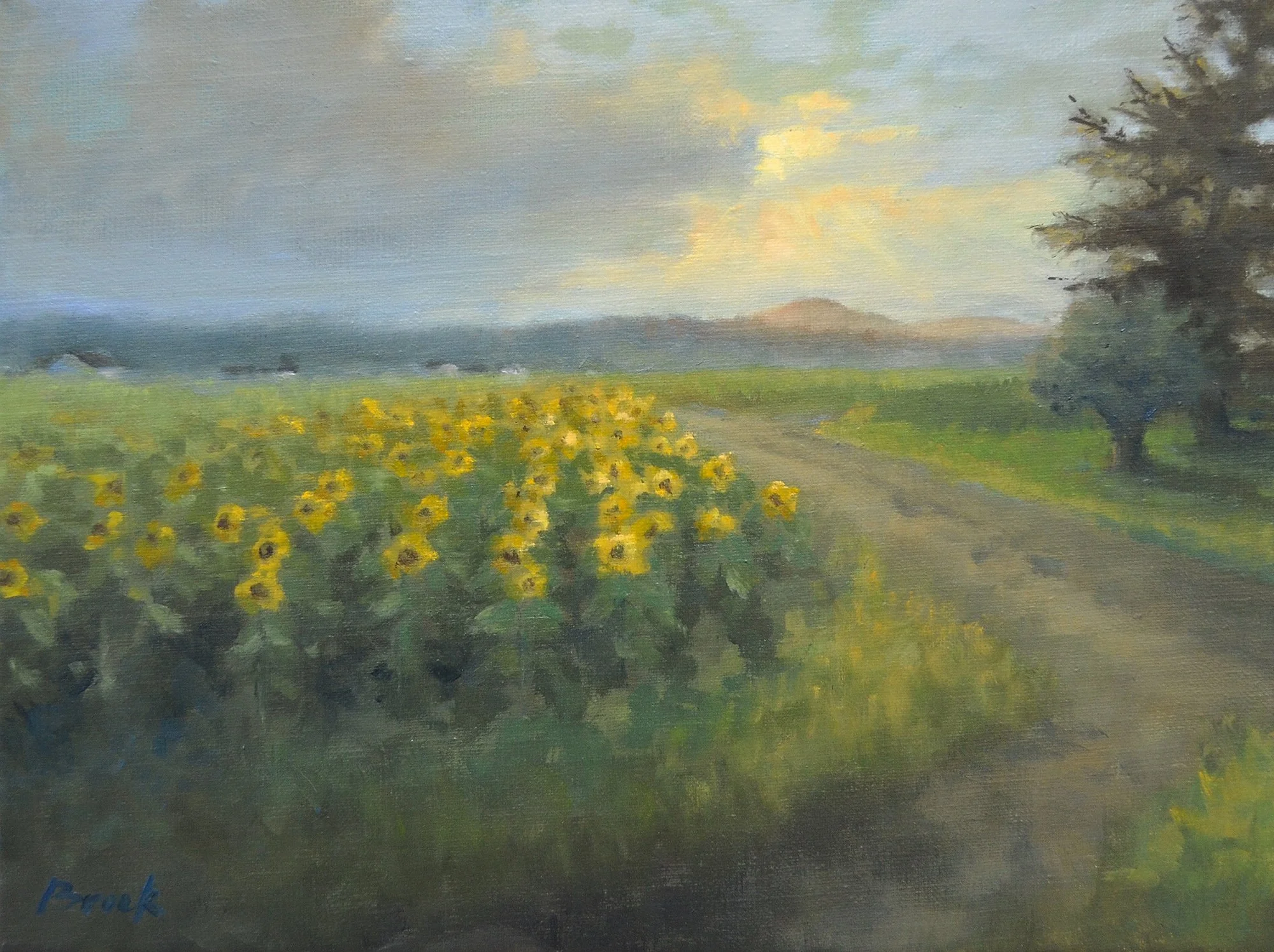 Sun After the Storm, 10x12 oil on linen, $600