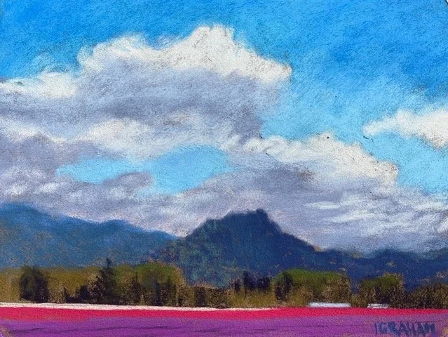 Skagit Tulip Fields, 9 x 12 Soft Pastels, $625