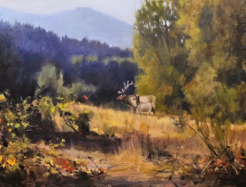 Dosewallips Elk, 18x24 oil, $1400