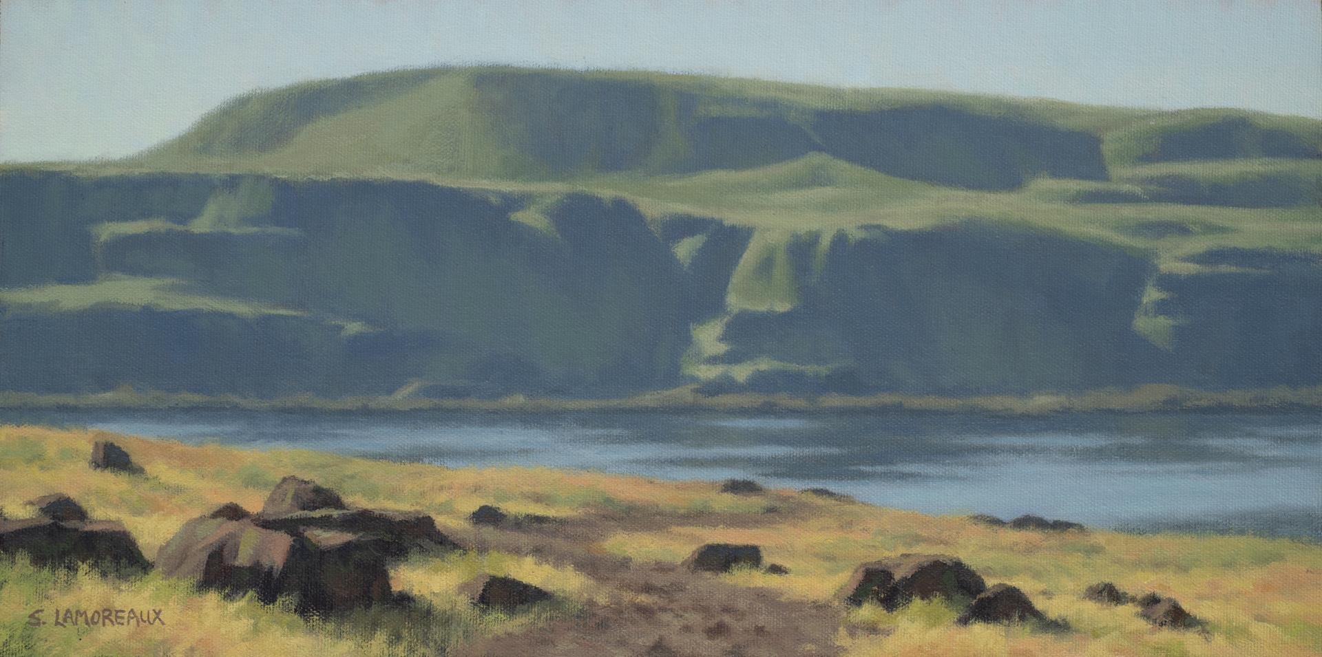 Sean Lamoreaux - Splendor of Columbia Gorge; 8x16 oil, $720