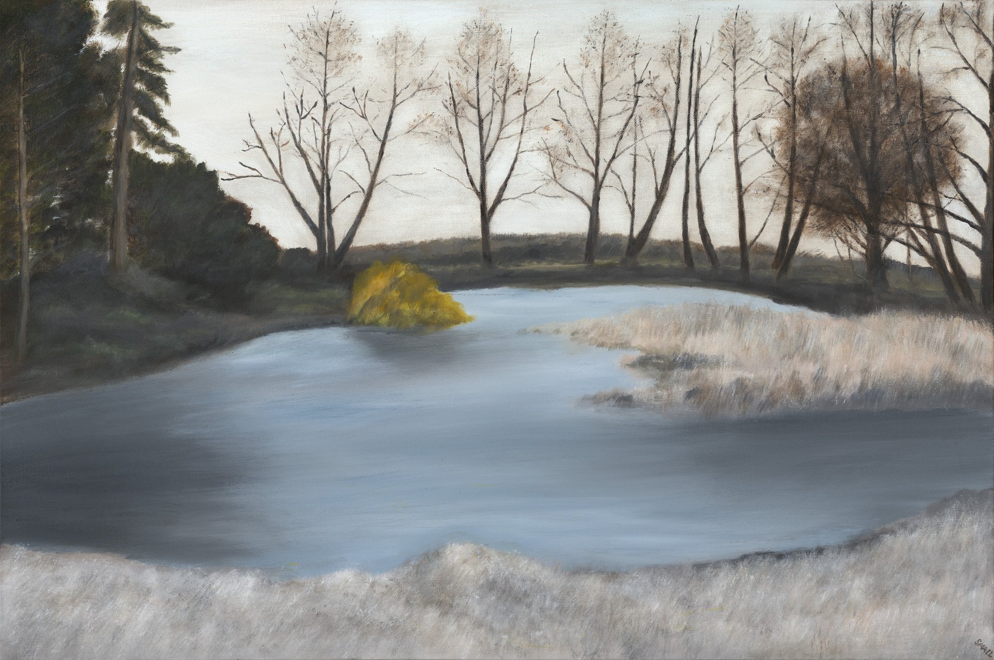 Richter's Pond, 36x24 mixed media, $3000