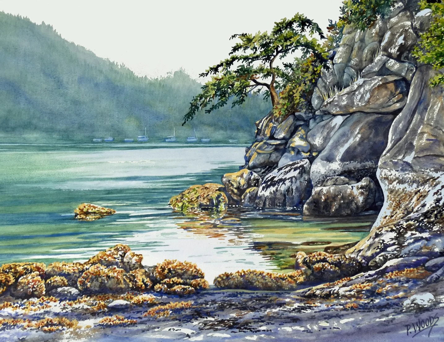 Chuckanut Island, 19 x 25 watercolor, $2160