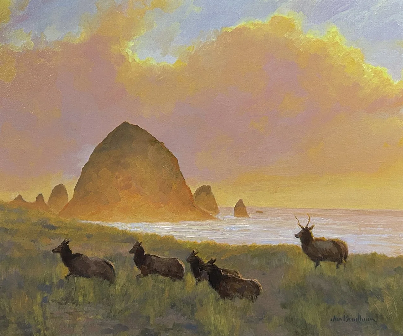 Cannon Beach Elk, 20x24 oil, $1600