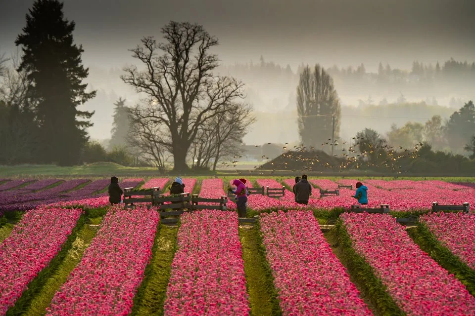 Morning Harmony, 12X18 float frame, $425