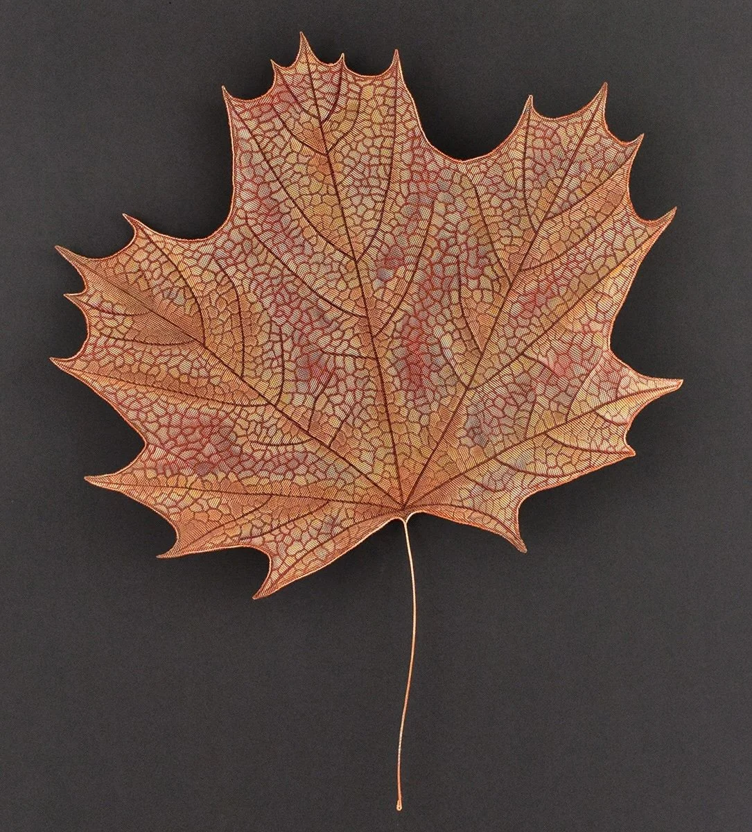 Maple Leaf, Copper mesh, glass frit, wire
H24 x W23 x 3 in., $1200
