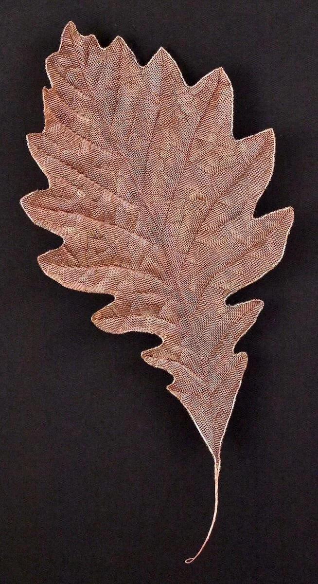 Oak Leaf, Copper mesh, wire
H22 x W11 x D3 in., $900