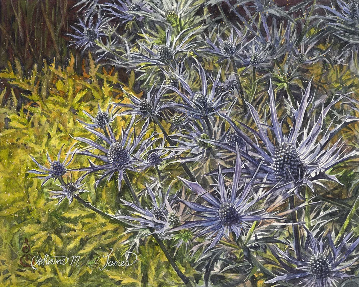 A Garden of Stars, 16x20 watercolor, $960