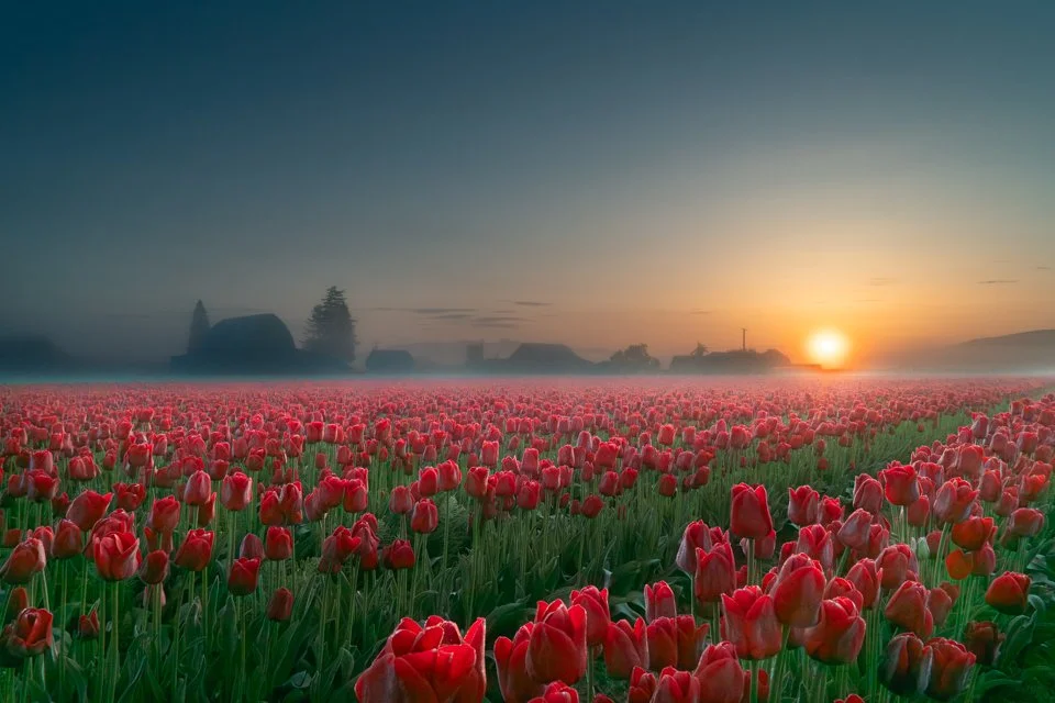 Day's Inspiration, 20X30 framed photo, $475