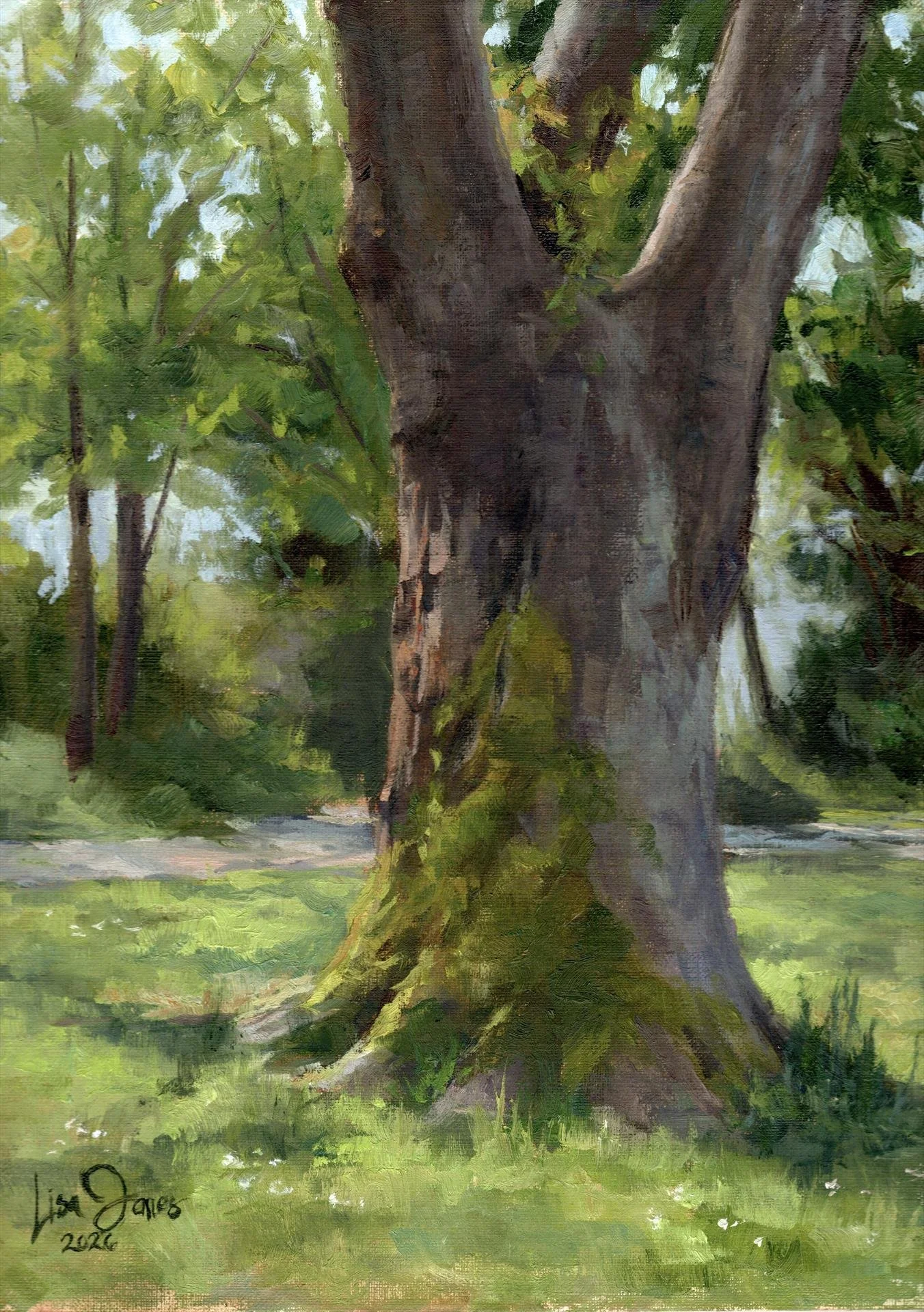 Lisa Jones - Mossy Maple; 12x9 oil, $650
