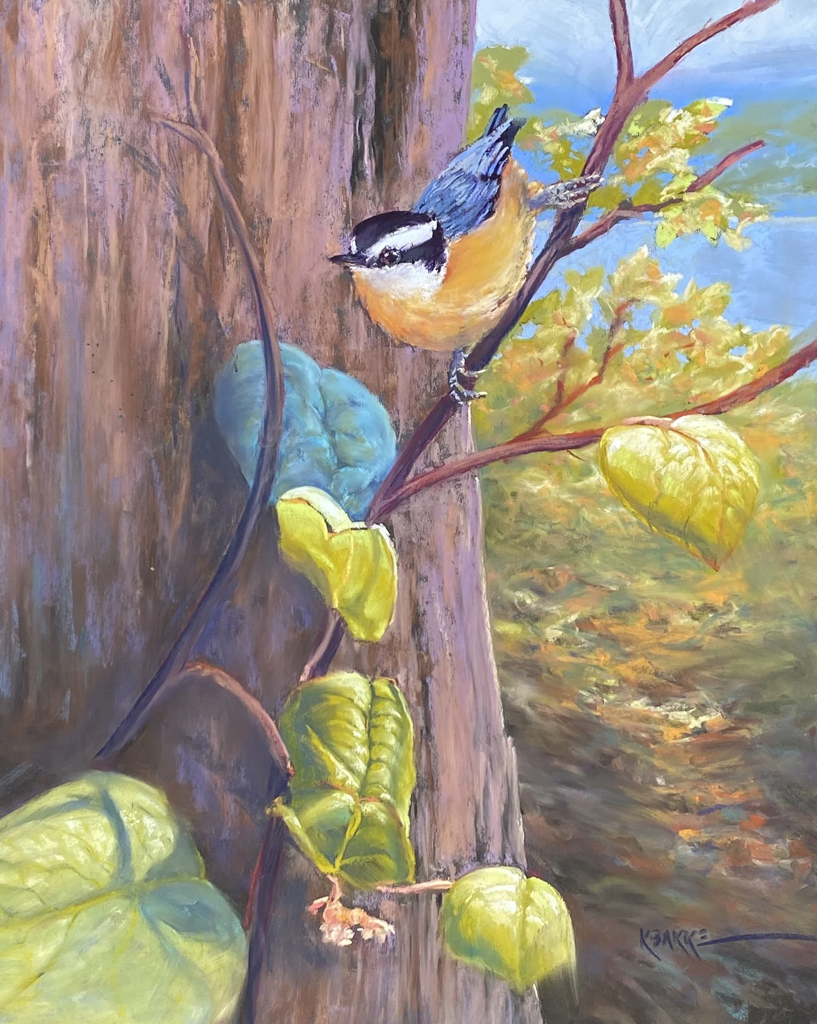 Tree Creeper, 20x16 soft pastel, $900