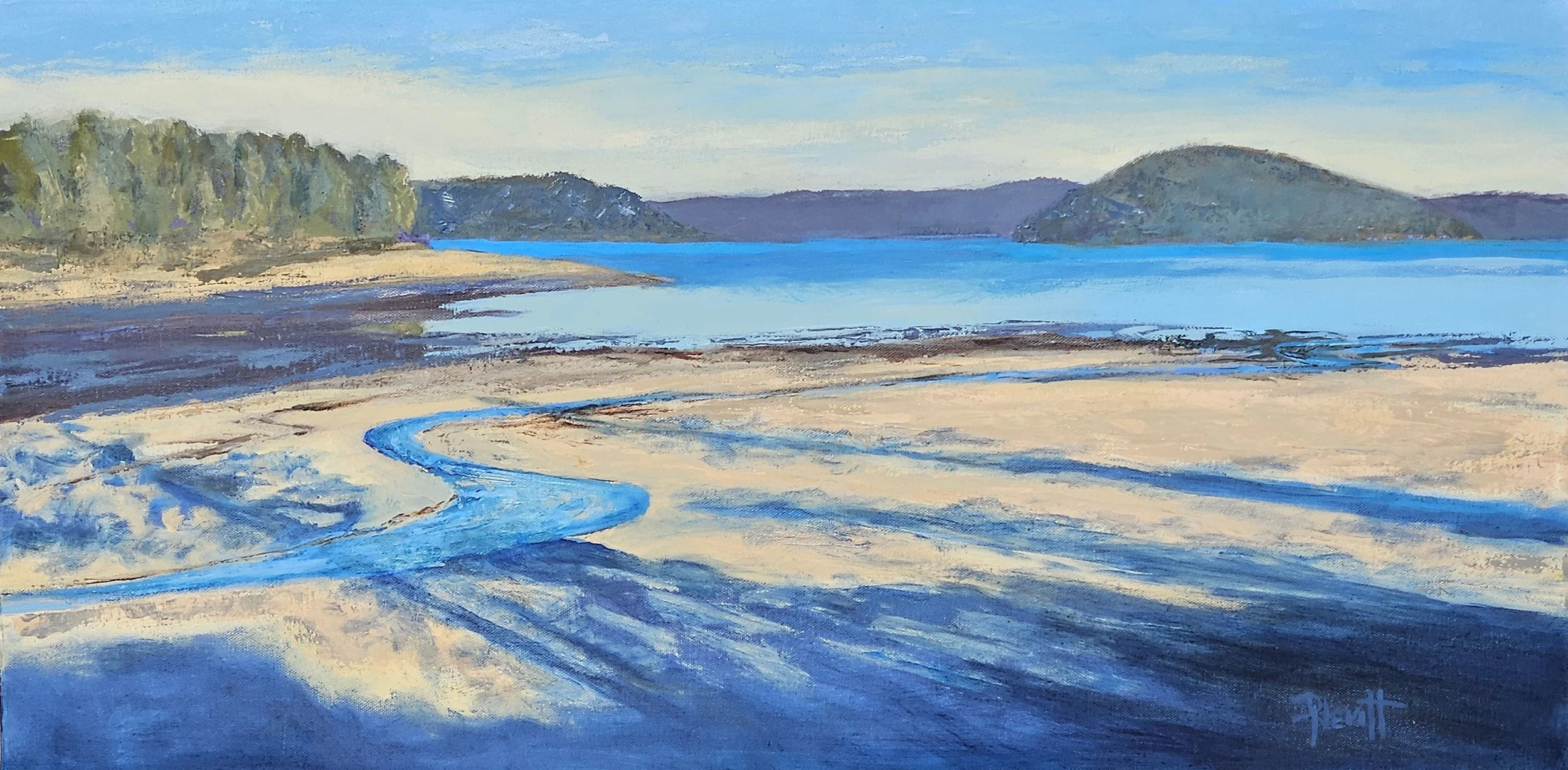 Shadows on the Tide, 15 x 30 oil, $900
