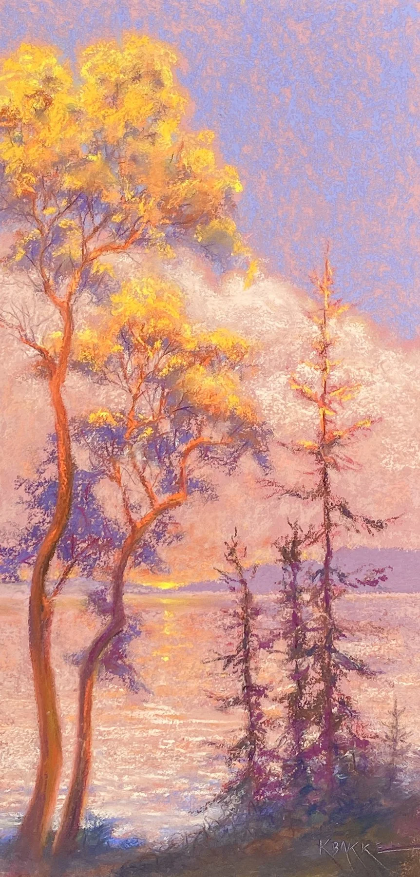 Slim and Shady, 20x10 soft pastel, $450