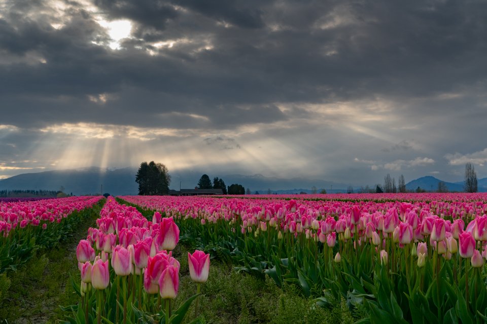 Cloud Beams, 20X30 framed photo, $475