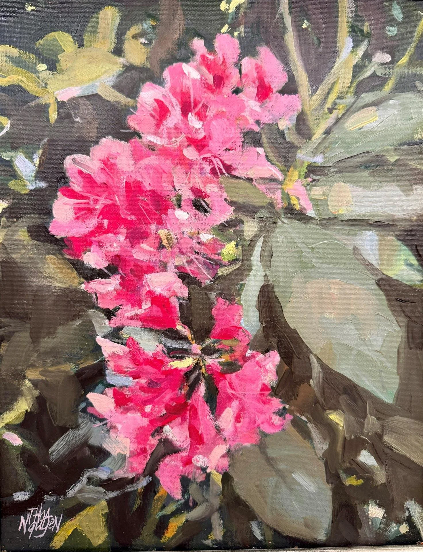 Thoa Nguyen - Pink Rhododendrons; 14x11 oil, $600
