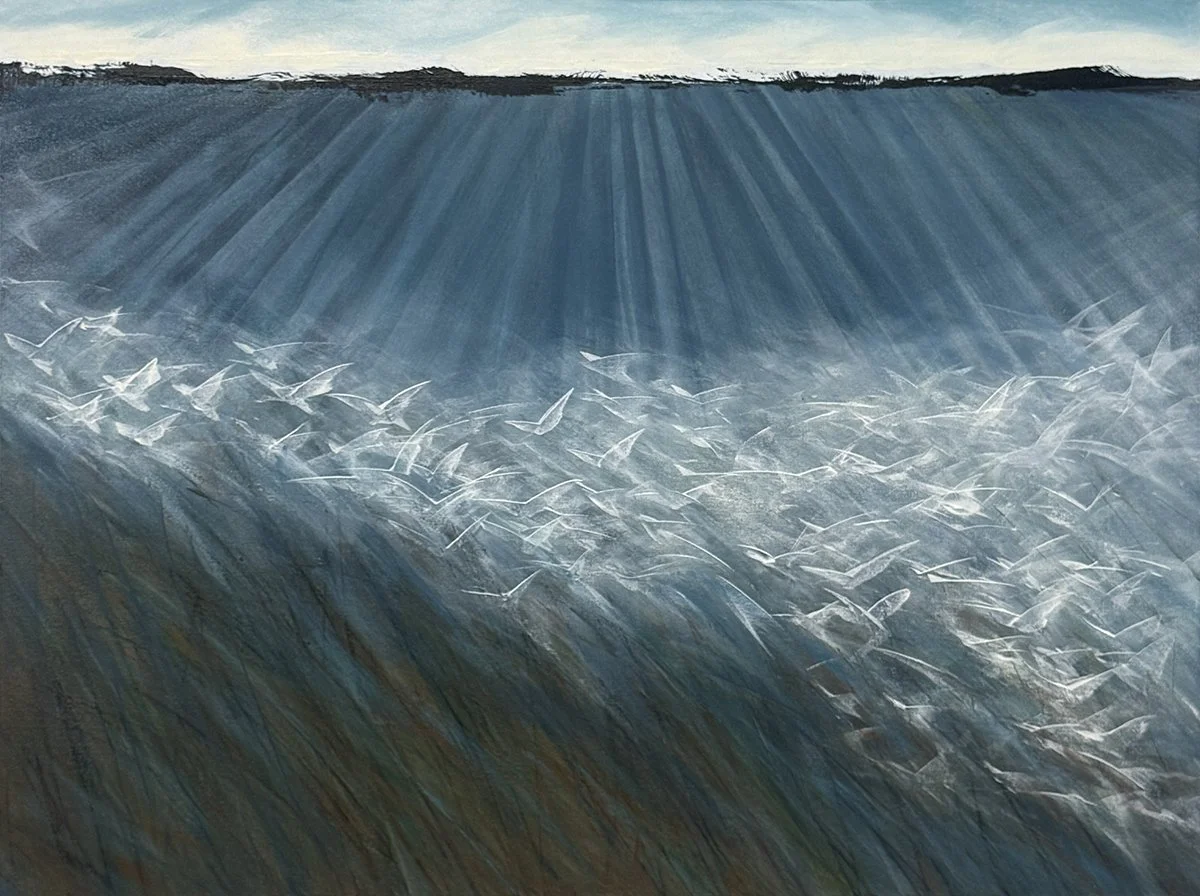 Far A Field, 30x40 acrylic, $1600