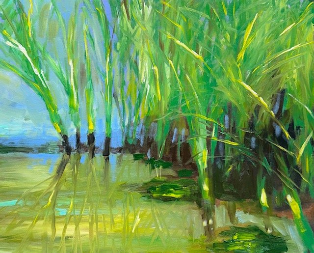 Rushes, 16x20 oil, $400