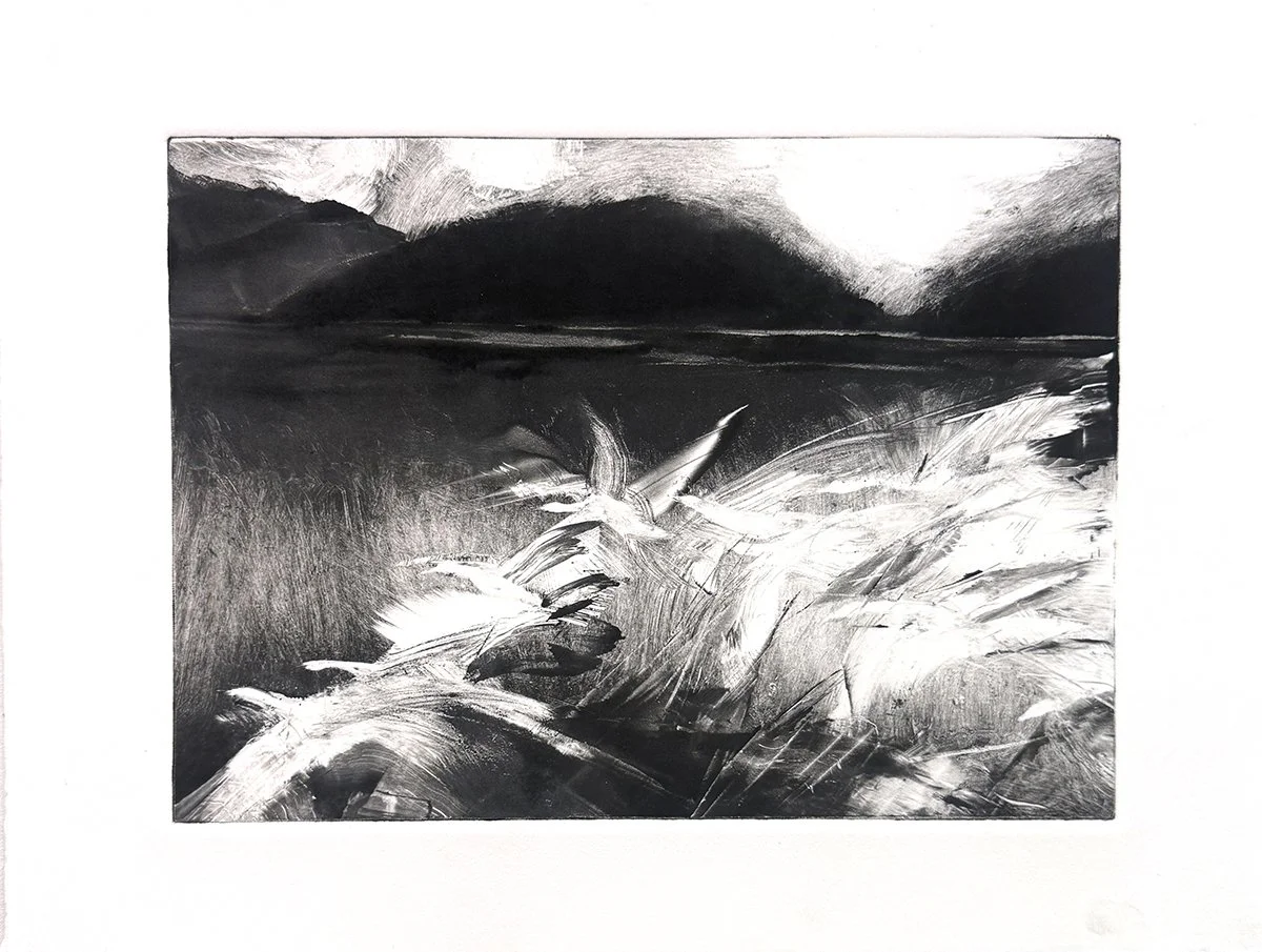 Monotype 347, 10x14 monotype, $250