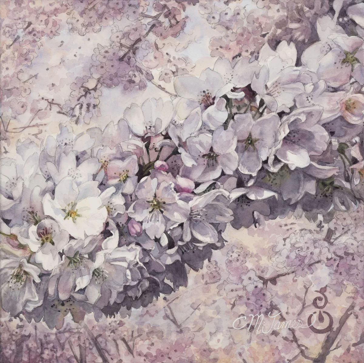 Cherry Blossom Poetry, 12x12 watercolor on paper sealed with cold wax medium, $425