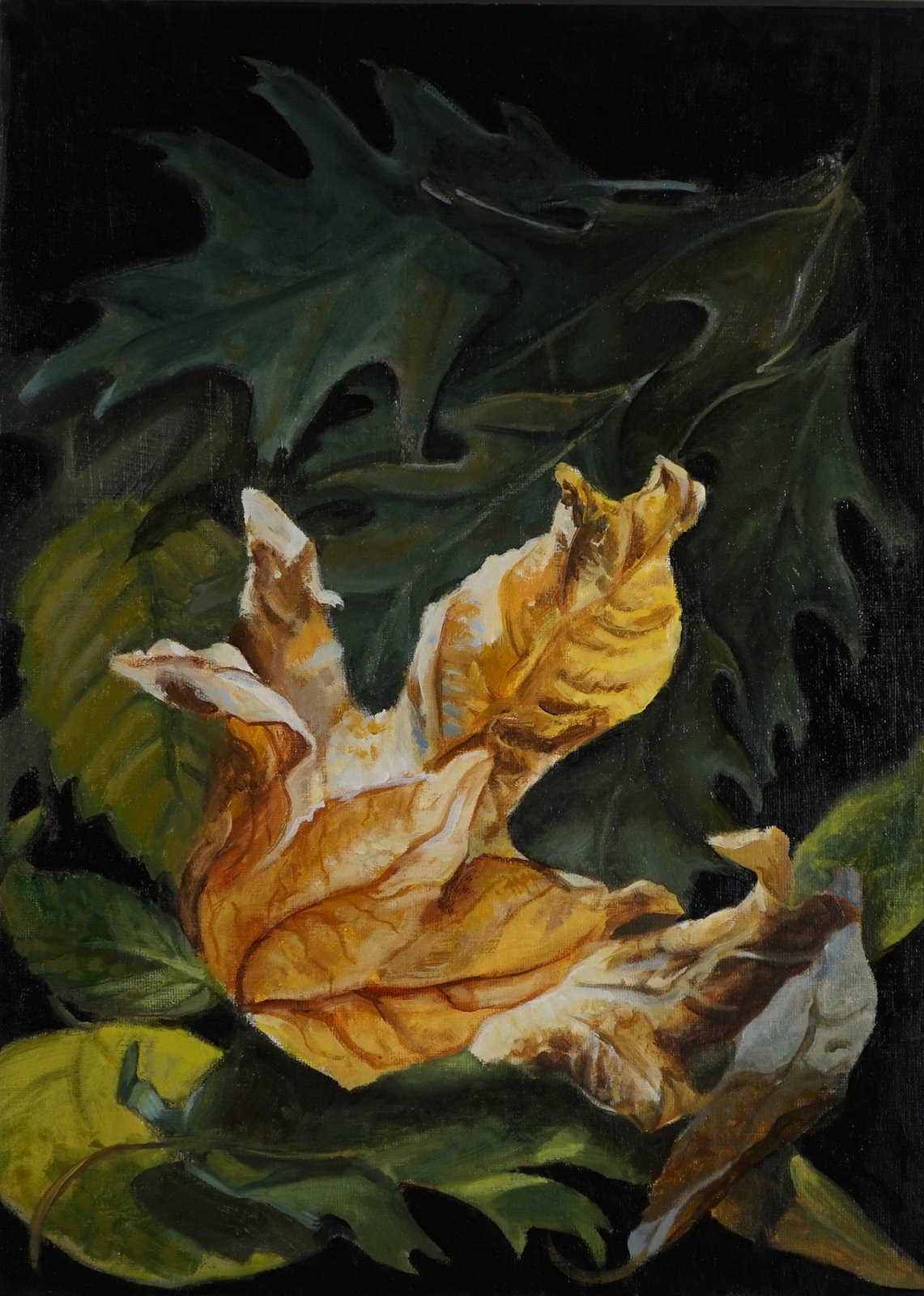 Michael Hovey - First Fall, 16x12 oil, $750