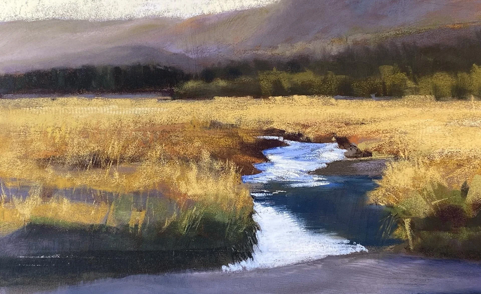 Janice Wall; Golden Meadow, 8x13 soft pastel, $800