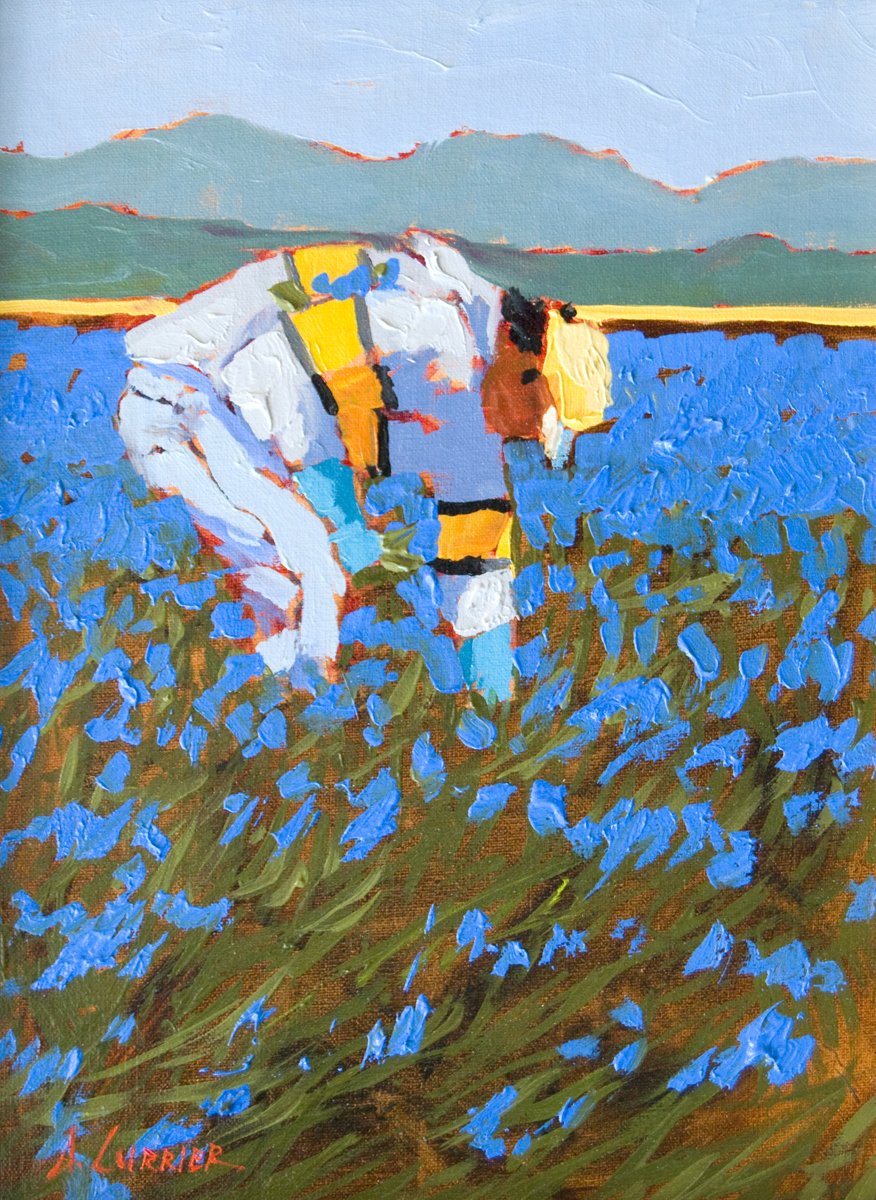 Iris Harvest, 12 x 9 oil, $950 SOLD