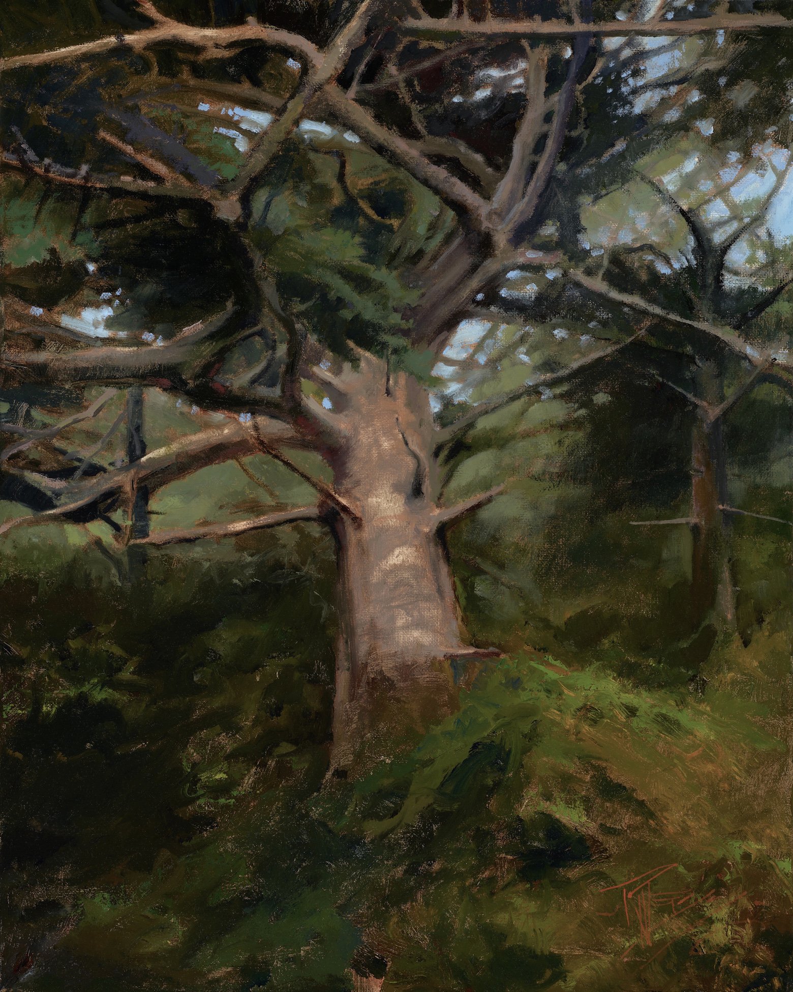 Twisted, 20x16 oil, $1400