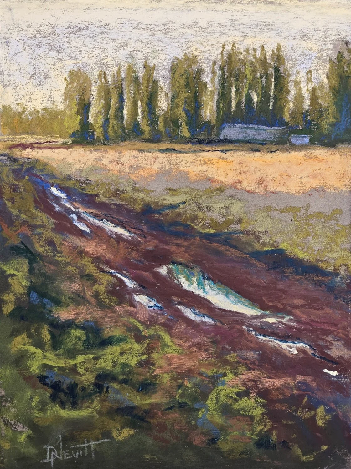 Donna Nevitt Radtke - Muddy Road; 14 x 11 pastel $550