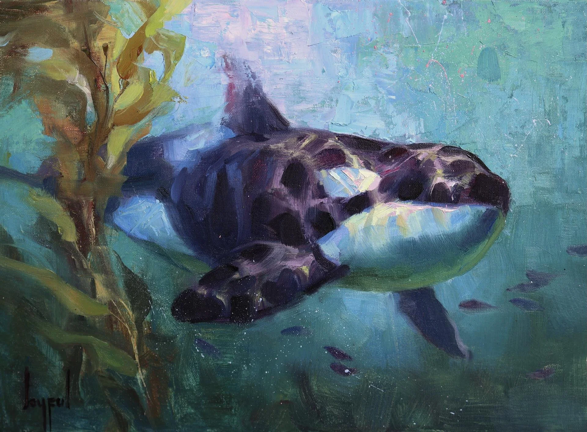 An impressionist oil painting of an Orca whale dappled with filtered light, swimming through sea kelp and small fish on an aqua underwater background painted by Joyful Ward