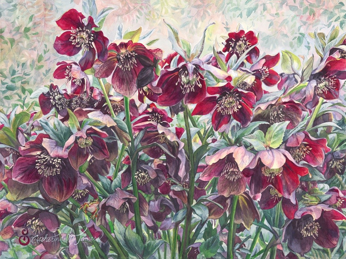Rubies,18" x 24" watercolor, $1,500