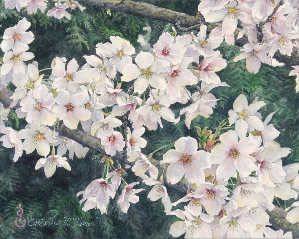 The Sweetness of Spring, 16" x 20" watercolor, $850