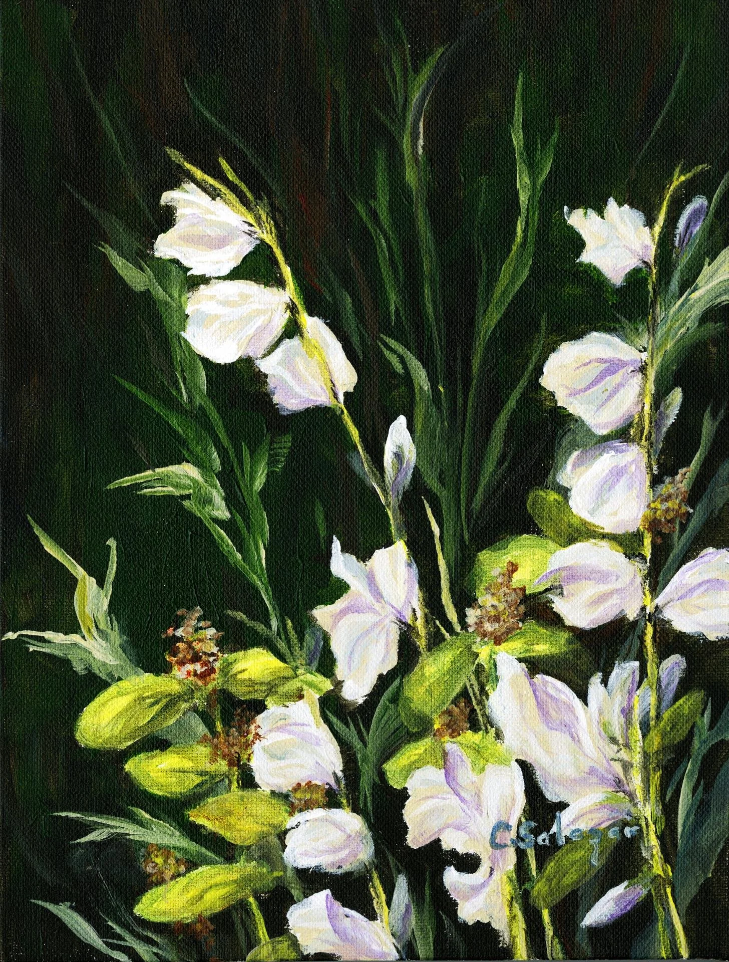 Carlene Salazar; Garden Upstart, 12x8 acrylic, $280