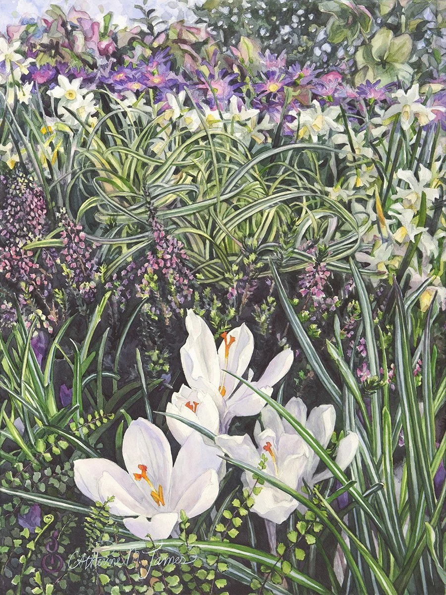 Song of Spring, Crocus, 24x18 watercolor, $1650