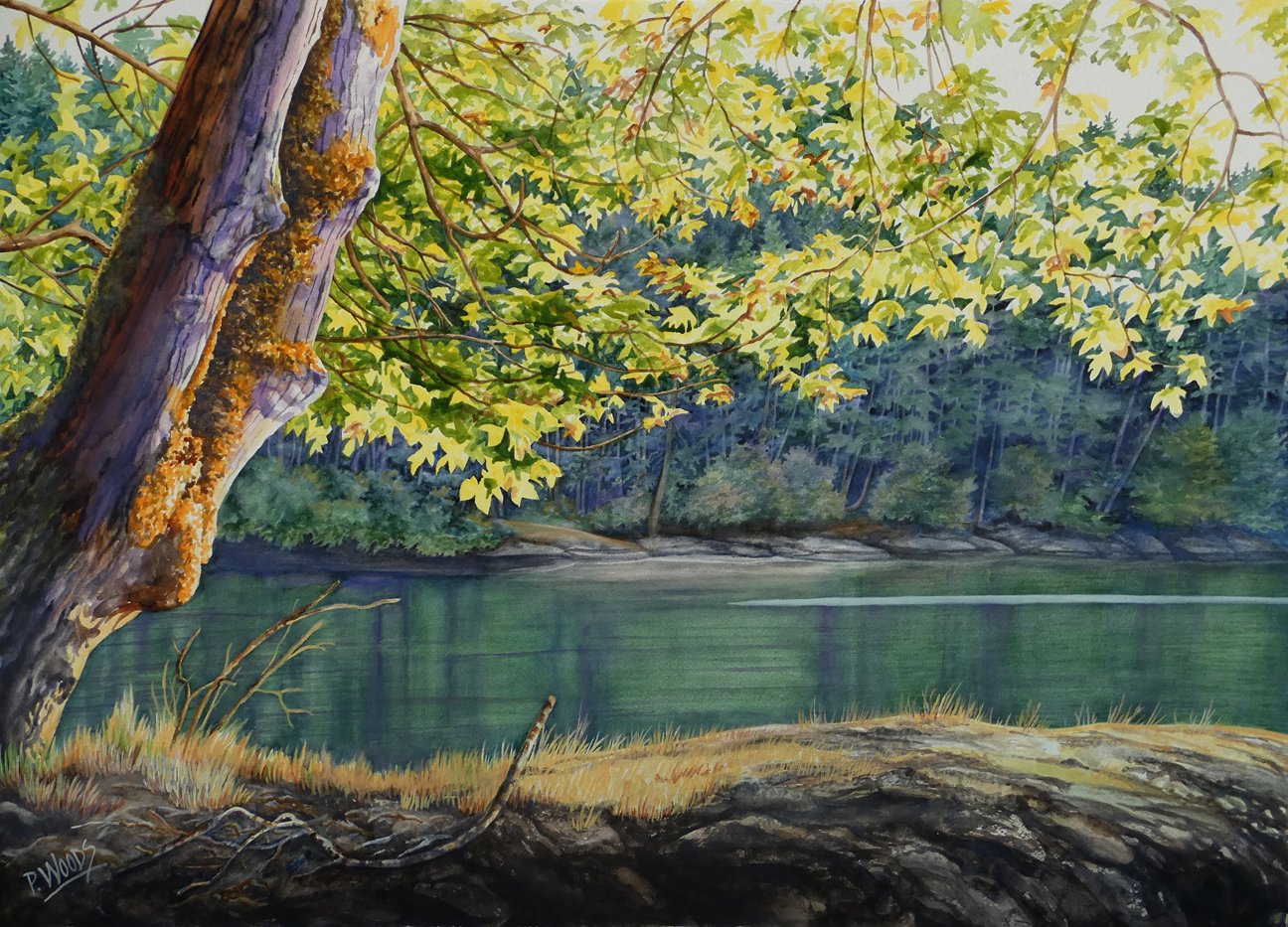 Evening Peace, 22.5 x 31 watercolor, $3550