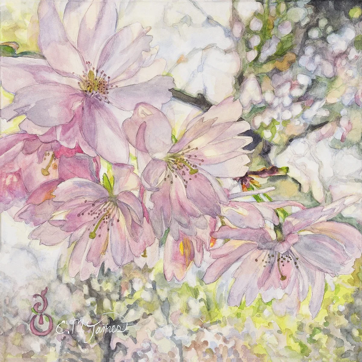 Whisper of Spring, 12x12 watercolor, $450