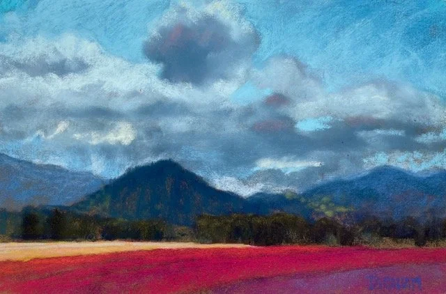 Tulips with Clouds, 12 1/2 x 18 1/2 soft pastel, $985