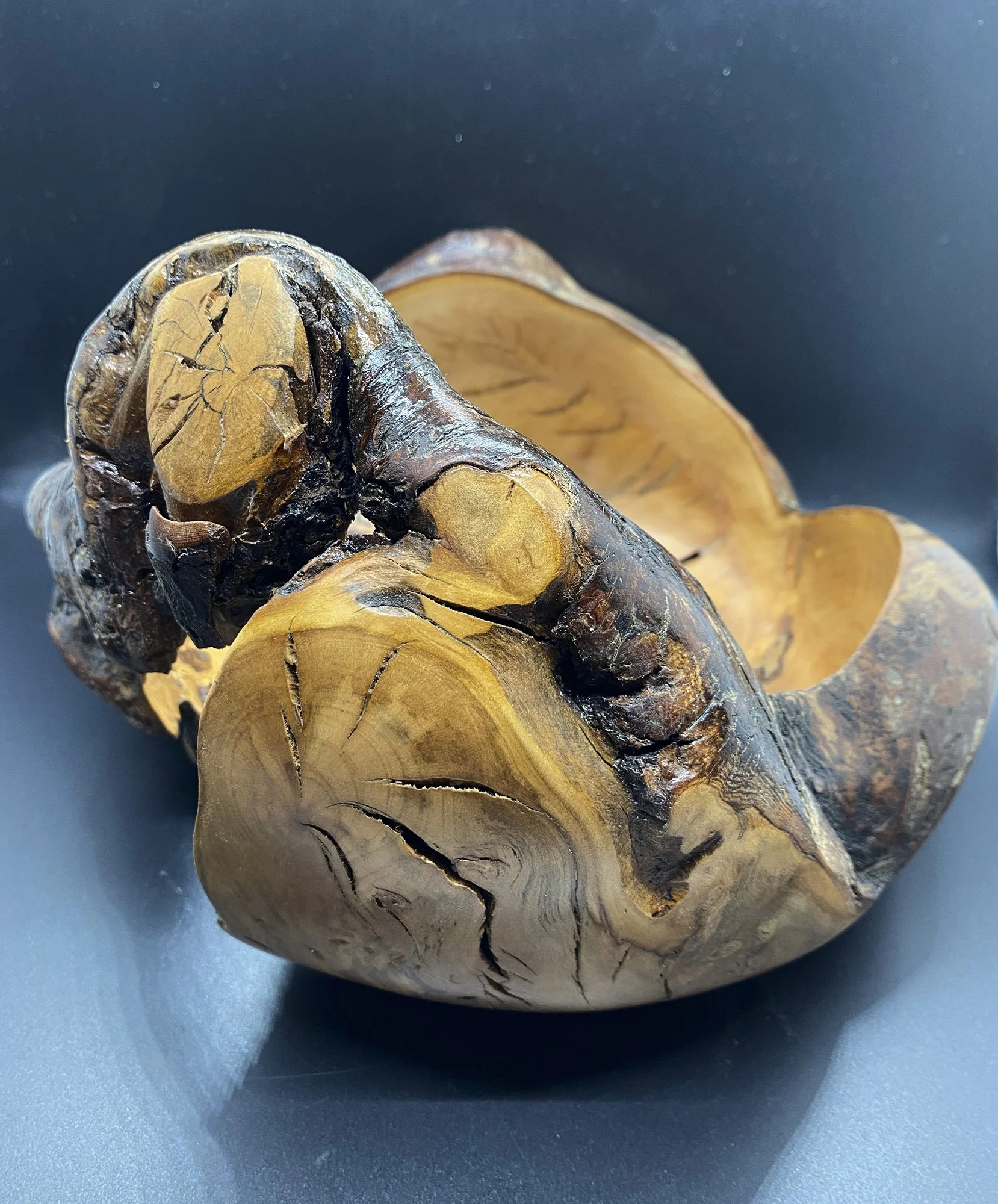 #3919 Filbert root ball - Natural edge, $450