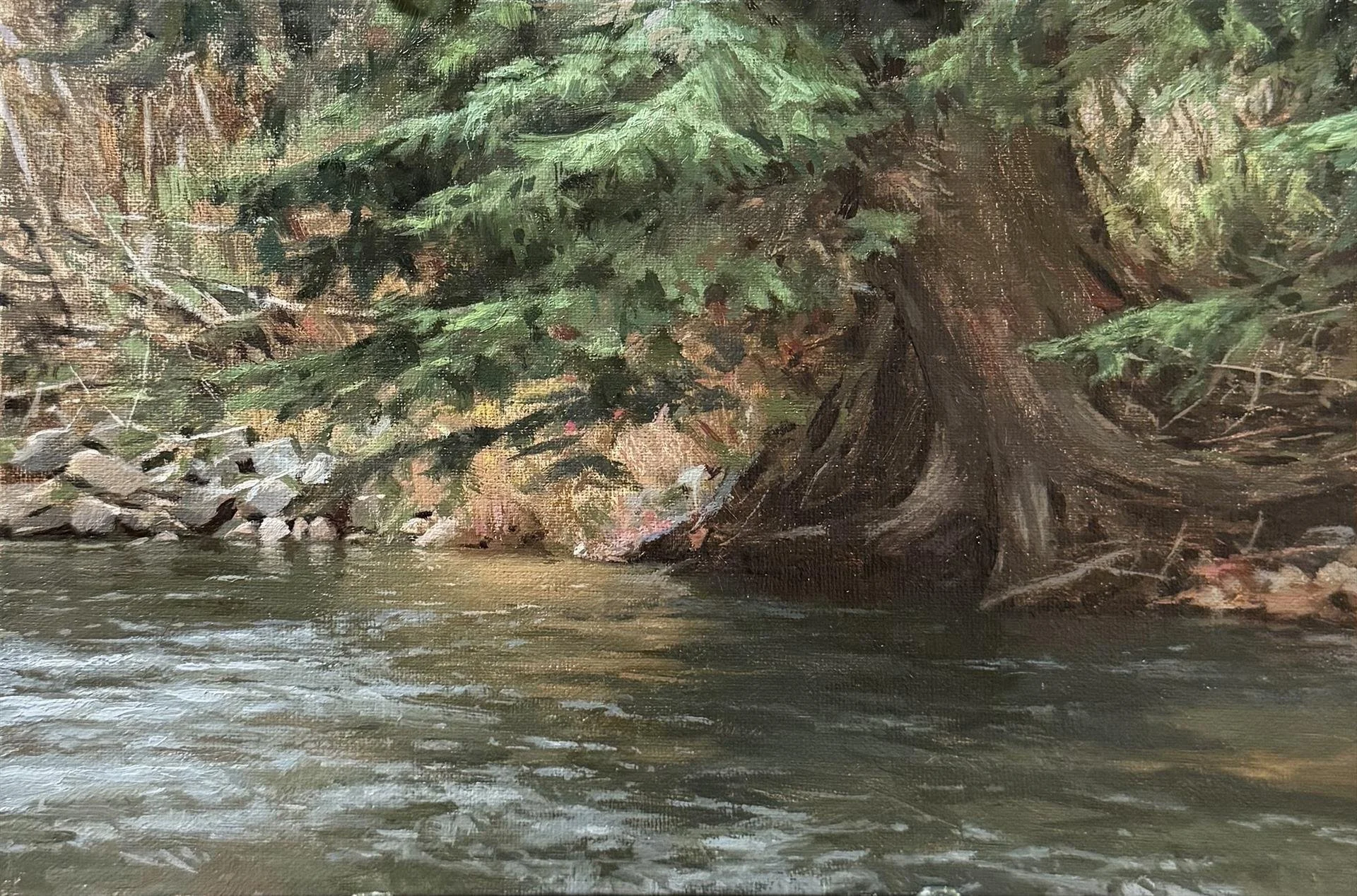 Jarod Lenz Erwin - Cedar on the Olallie; 6x8 oil, $650