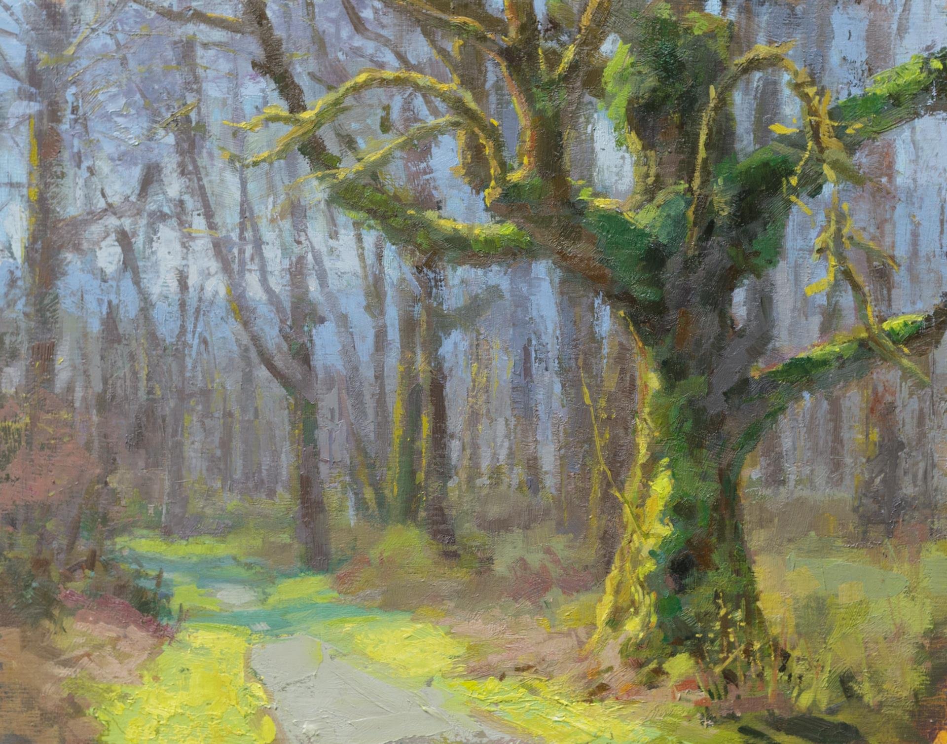 "3 Forks Trail" by Aaron Coberly, 11x14 oil, $1300