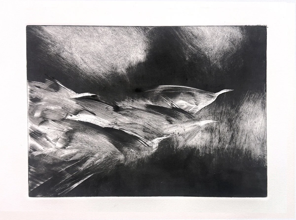 Monotype 344, 10x14 monotype, $250