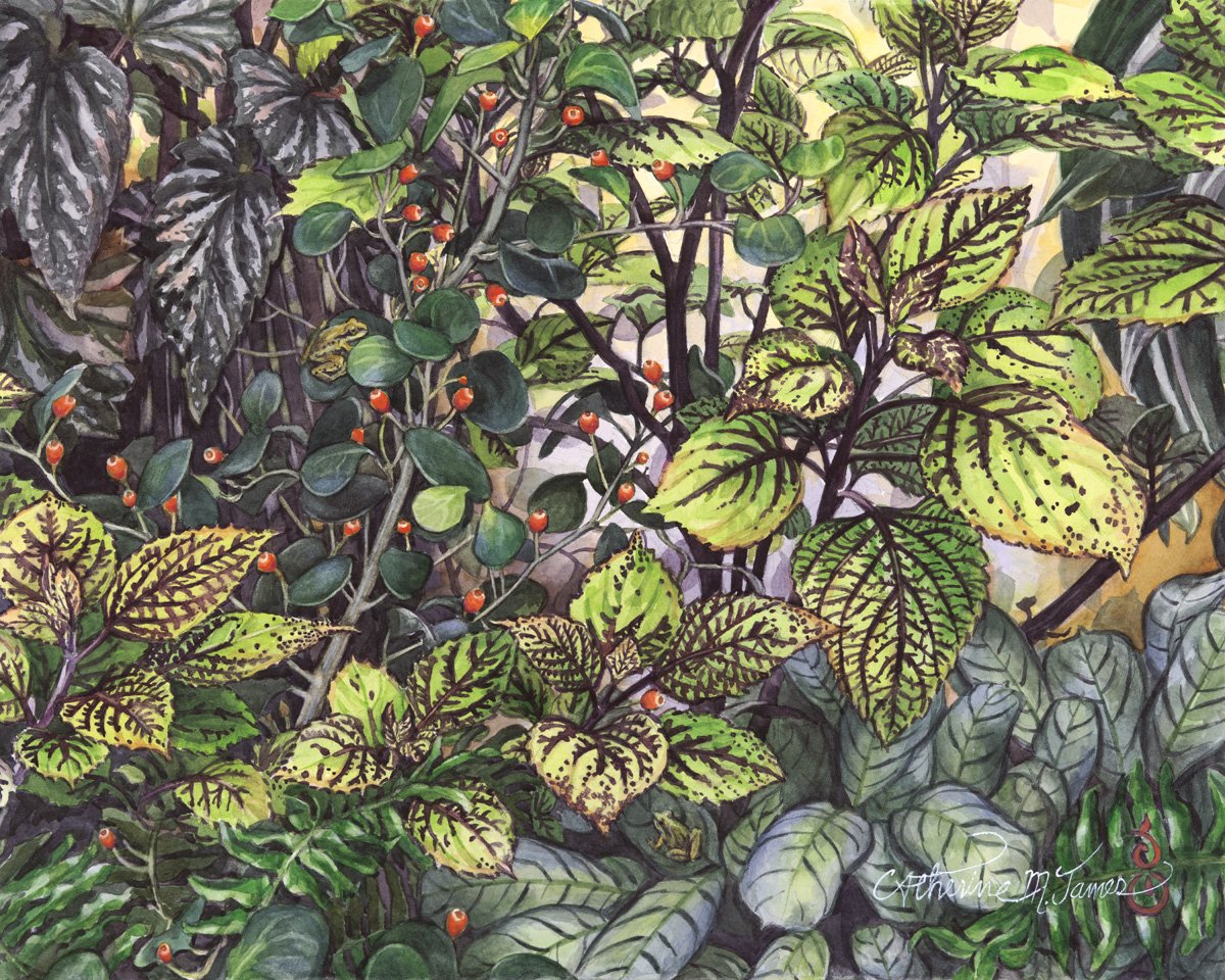 In the Conservatory, 16x20 watercolor on paper sealed with cold wax medium, $935