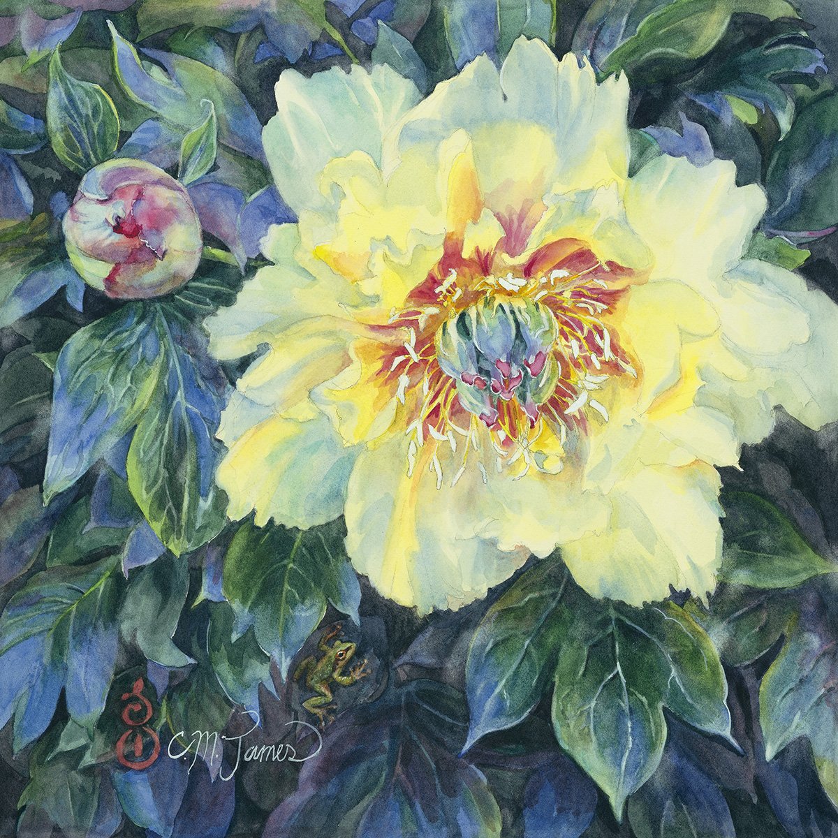 Yellow Peony, 14x14 watercolor, $550