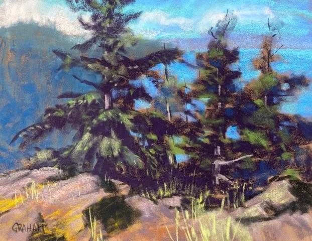 Perched High, 12x15 3/4 soft pastel, $885