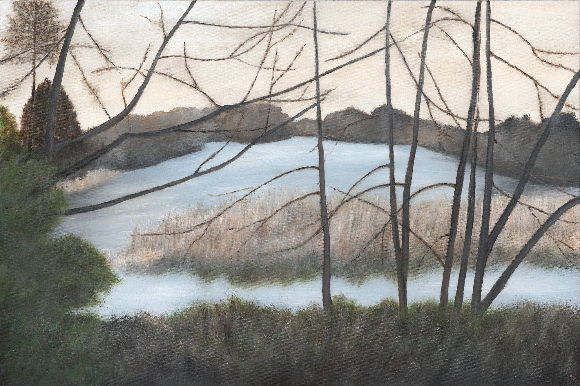 Snelson's Slough, 36x24 mixed media, $3000