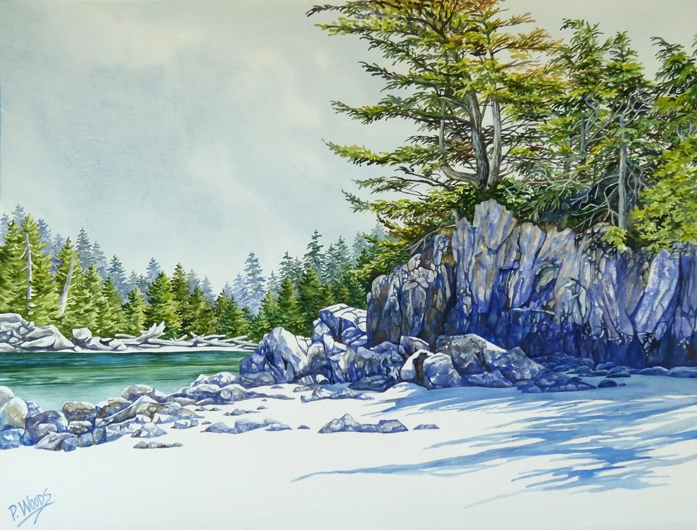 Soft Landing, 25 x 33 watercolor, $3100