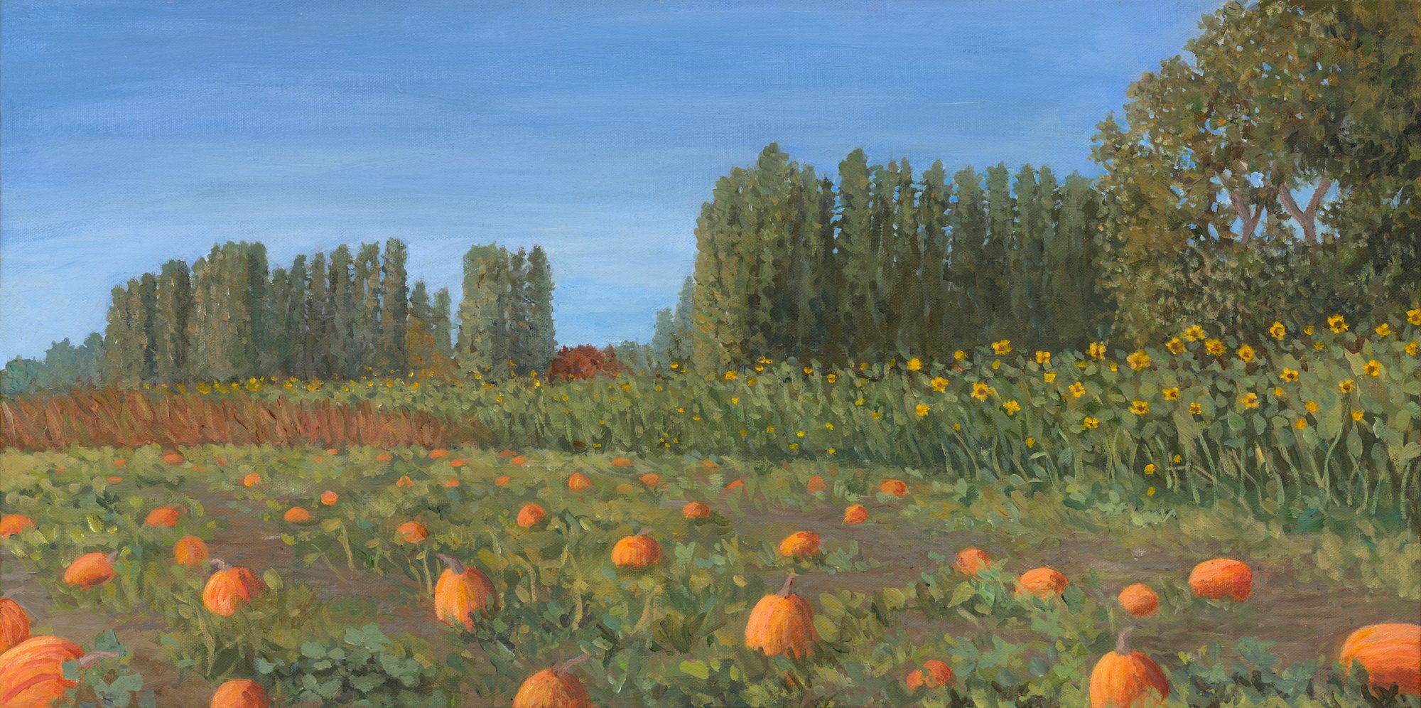 Pumpkin Season, 15x30 acrylic, $1300