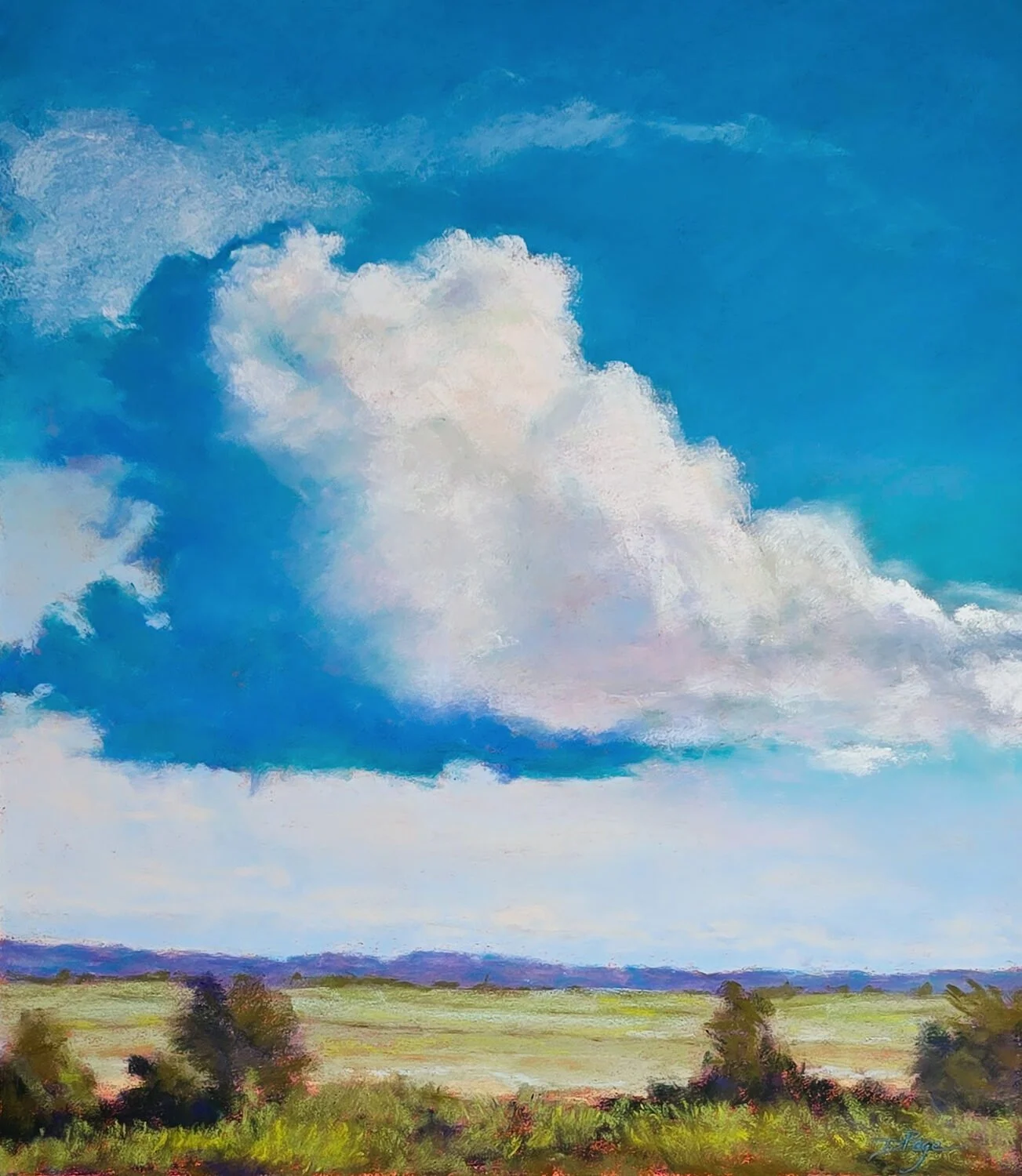 Denise G. Page - Cumulus Crossing; 18 x 20 pastel, $1000